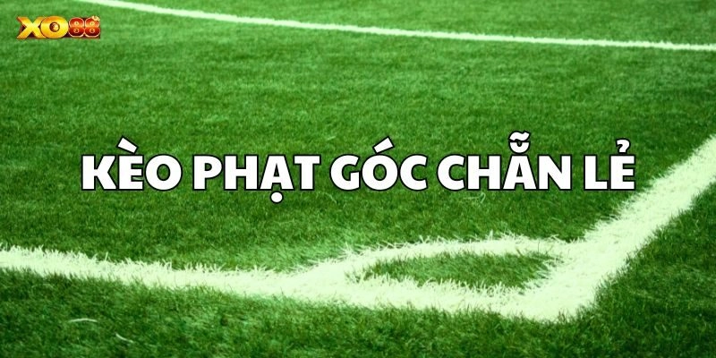 Kèo phạt góc chẵn lẻ rất dễ nắm bắt
