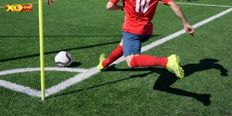 Trải nghiệm trọn vẹn với lưu ý quan trọng cho hội viên