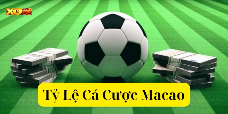 Bí Kíp Đọc Tỷ Lệ Cược Macao Khiến Nhà Cái Phải E Sợ!