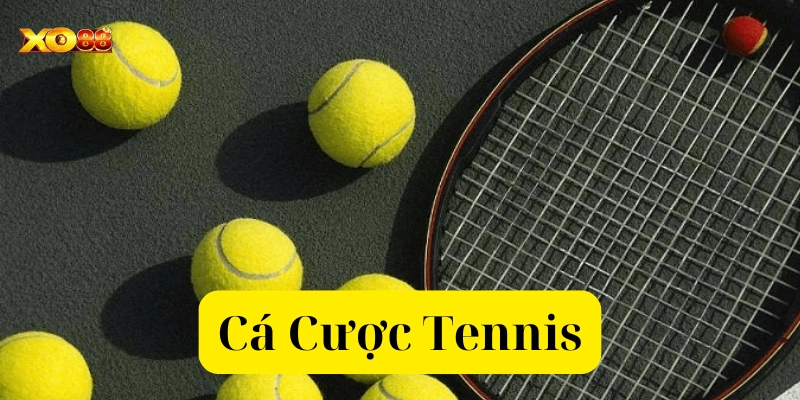 Phân tích về Cá Cược Tennis