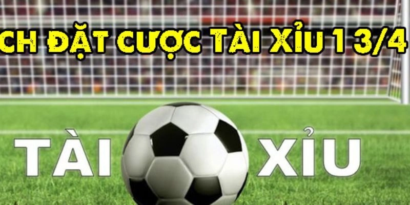 Đọc kèo hiệu quả siêu chính xác từ cao thủ