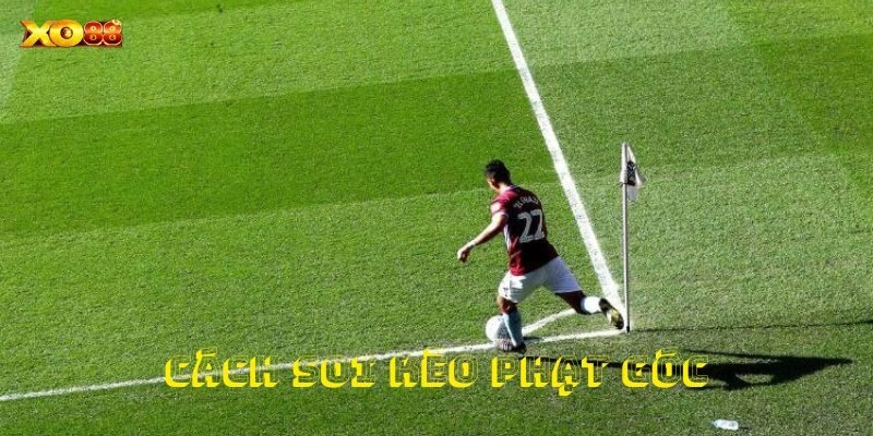 Cách Soi Kèo Phạt Góc Đơn Giản Và Hiệu Quả Dành Cho Cược Thủ