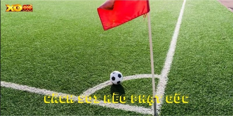 Nghiên cứu và tìm hiểu lịch sử thi đấu của từng đội bóng