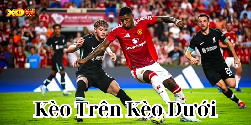 Tuyệt Chiêu Để Bắt Kèo Trên Kèo Dưới Theo Từng Trận Đấu!