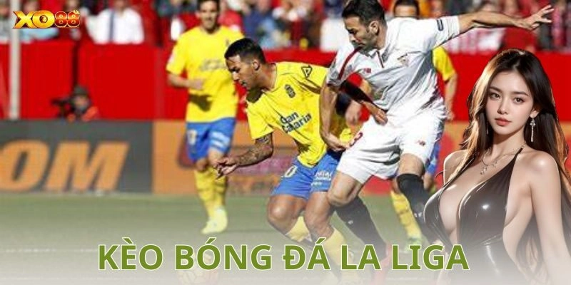 Các yếu tố ảnh hưởng đến kết quả cá cược