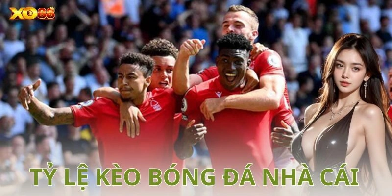 Kinh nghiệm soi kèo hiệu quả