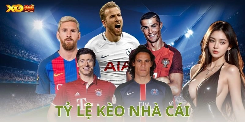 Tỷ lệ kèo nhà cái: Cách đọc và phân tích chính xác