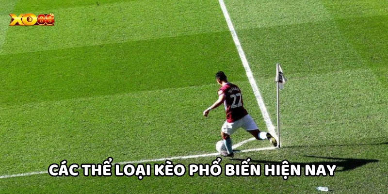 Các loại kèo phổ biến trong Kèo Phạt Góc Là Gì