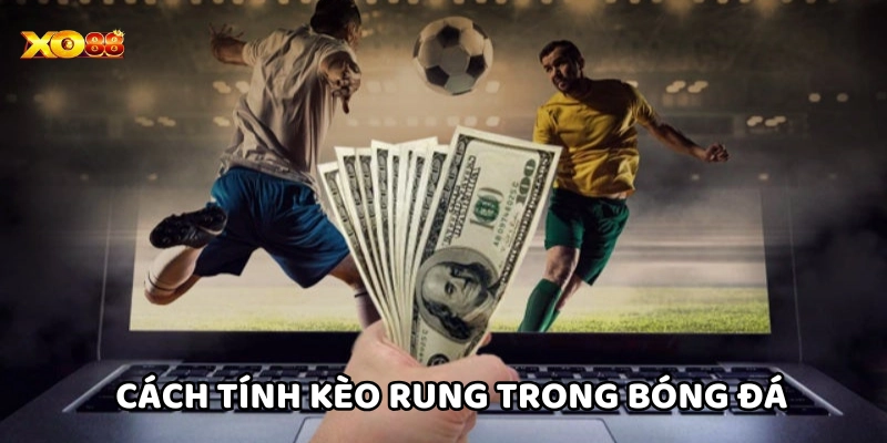 Kèo Rung Là Gì – Bí Quyết Bắt Kèo Cực Chuẩn Từ Cao Thủ