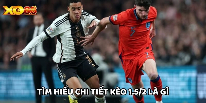 Tìm hiểu chi tiết Kèo 1.5/2 Là Gì