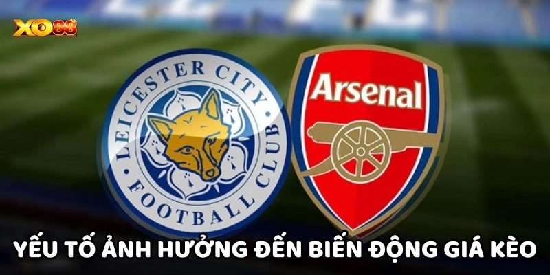 Yếu tố ảnh hưởng đến biến động Giá Kèo