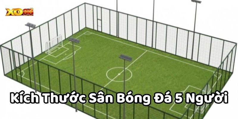 Các thông số quan trọng trong Kích Thước Sân Bóng Đá 5 Người