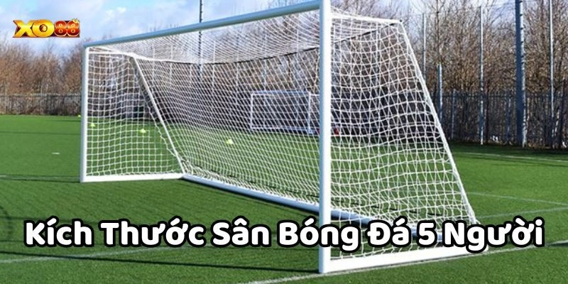 Kích Thước Sân Bóng Đá 5 Người Theo Chuẩn Chuẩn FIFA