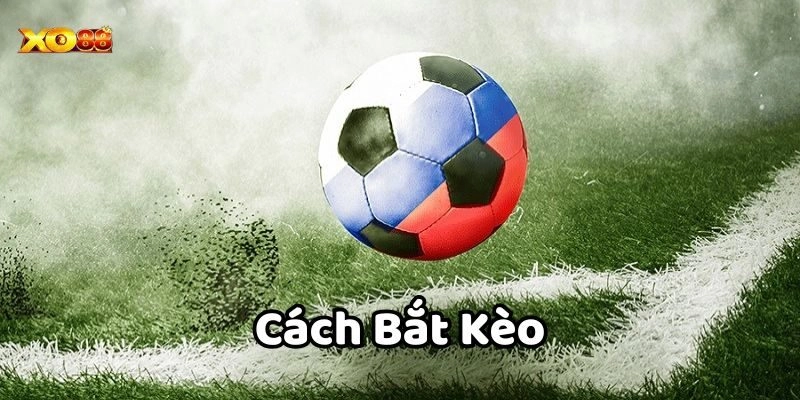 3 Cách Bắt Kèo Hiệu Quả Cho Người Chơi Cá Cược Bóng Đá