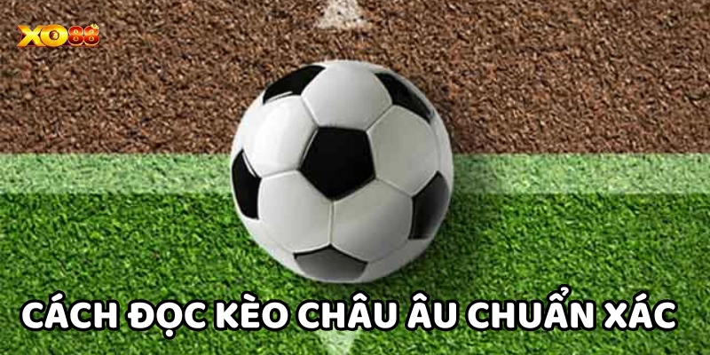 Kèo Châu Âu – Hướng Dẫn Từ A Đến Z Cho Người Mới Bắt Đầu