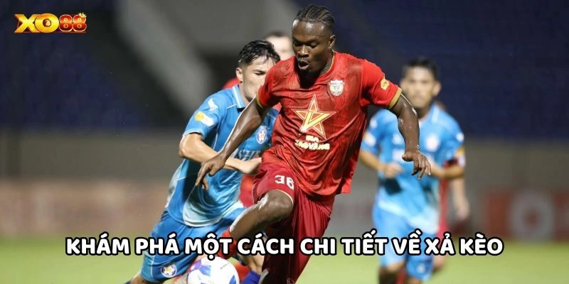 Khám phá một cách chi tiết về Xả Kèo